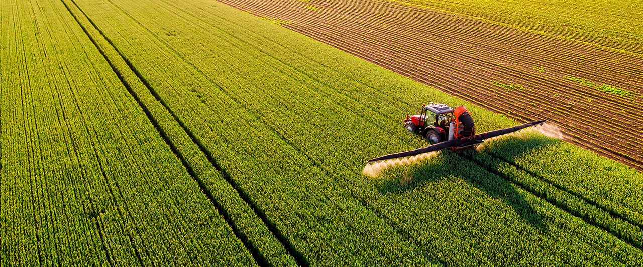 A decorative image denoting agriculture