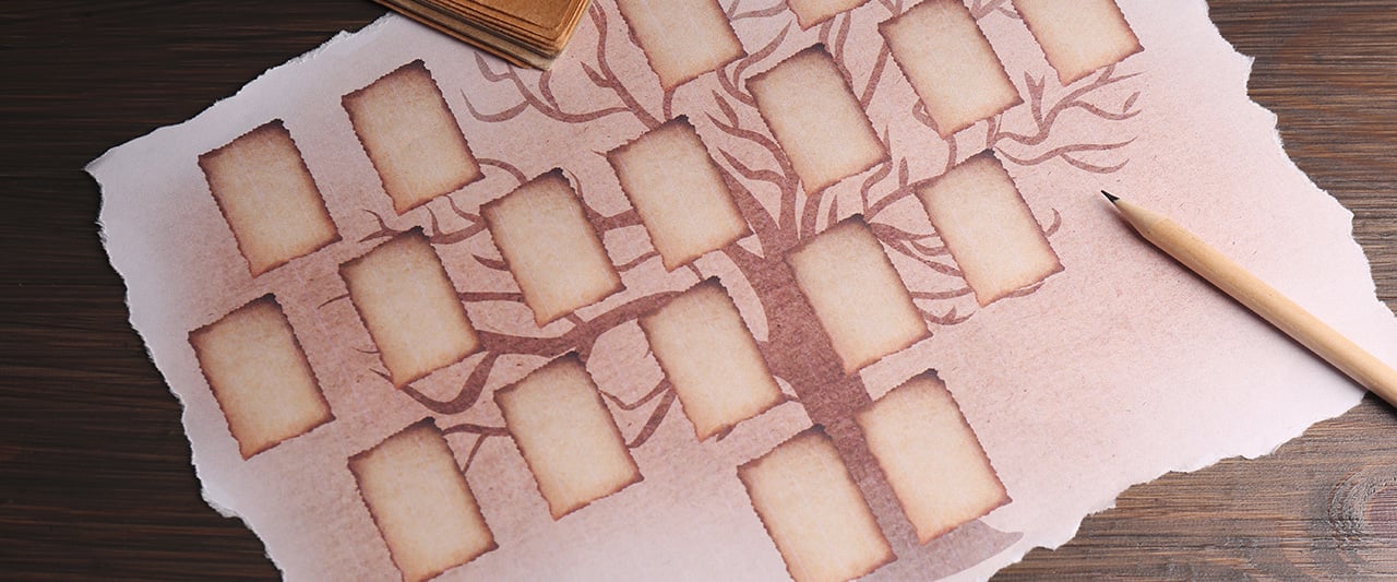 A decorative image denoting geneology