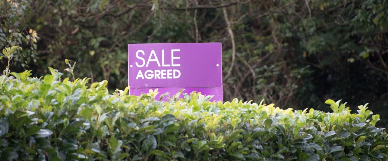 Hedge with a Sale Agreed Sign