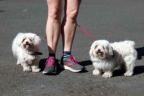 Calcutta Run 2023 at Law Society, on 27 May