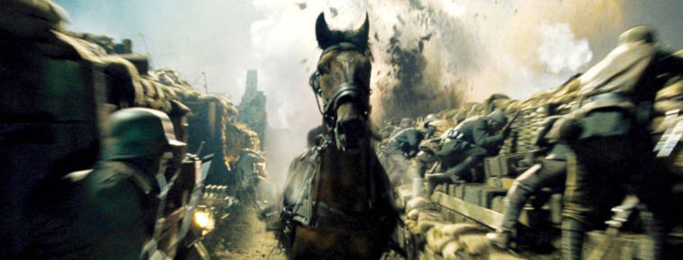 War horse