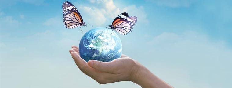 Global well being