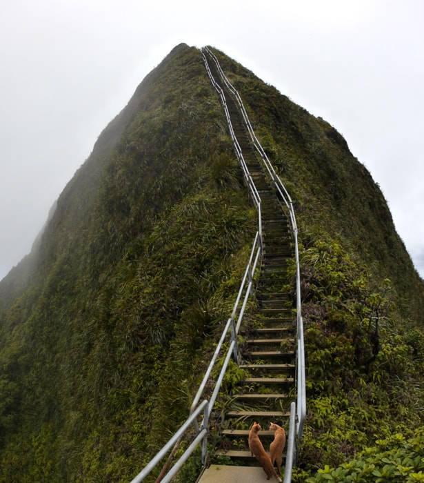 Stairway to heaven