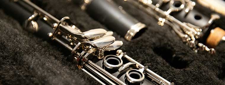 Professor of clarinet challenges RIAM retirement policy