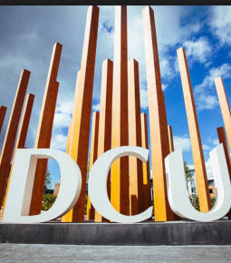 Superior court rules published as gaeilge