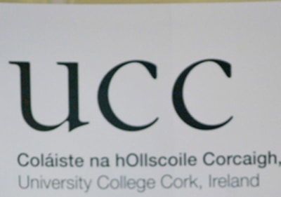 UCC law role for FLAC chief executive