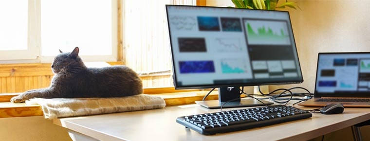 Flexible working key to retaining talent – Ibec