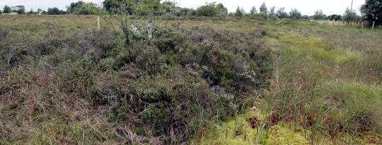 EU tells Ireland to comply with bogs directive