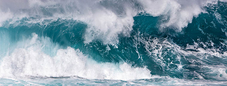 UN High Seas Treaty now regulates the ocean