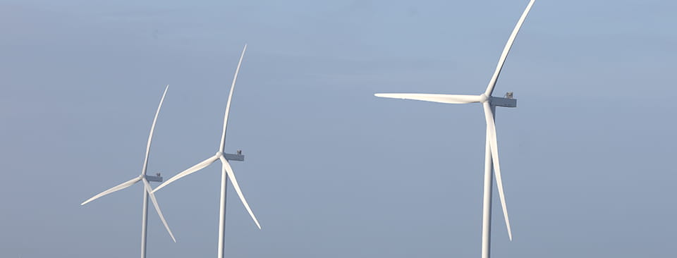 €10,000 Niamh Burke bursary is launched