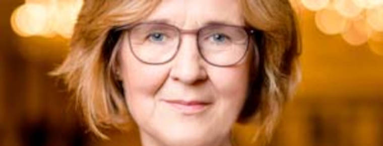 Lawyers a pillar of rule of law says new CCBE president