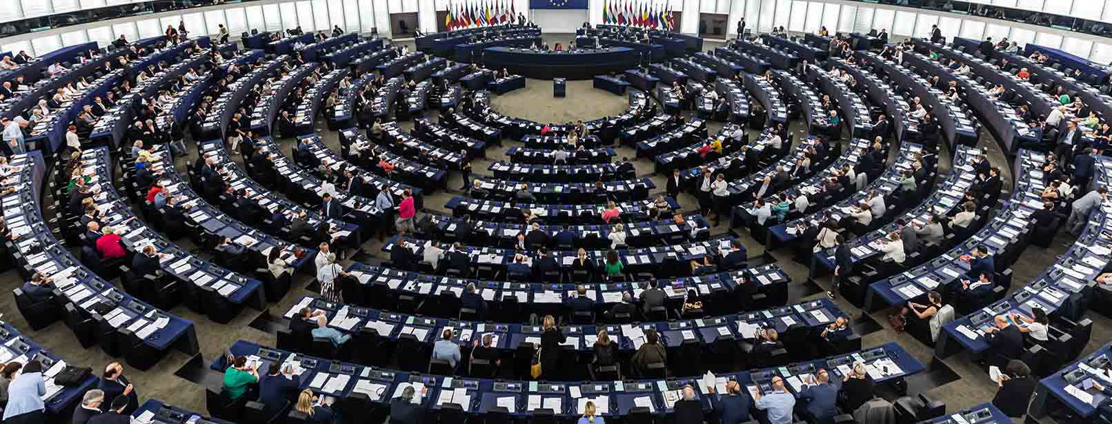 Alleged EU Parliament corruption is ‘very worrisome’ – chief