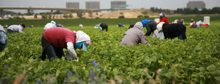 EU body calls for better protection for migrant workers
