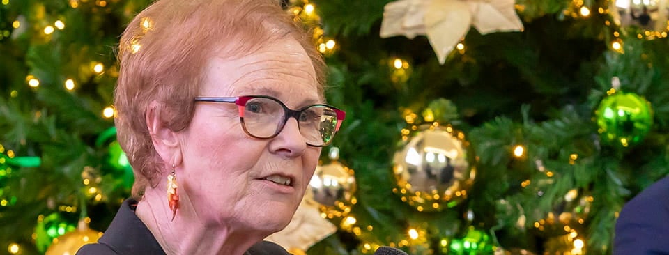 IHREC’s concerns about legal-aid disruption