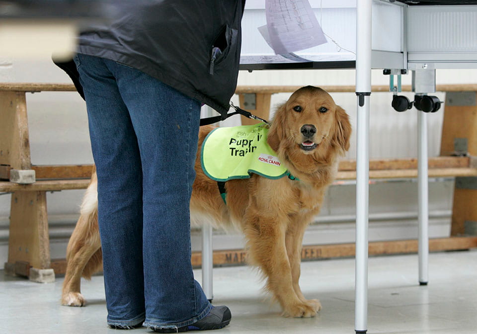 €10,000 for woman over guide-dog charge