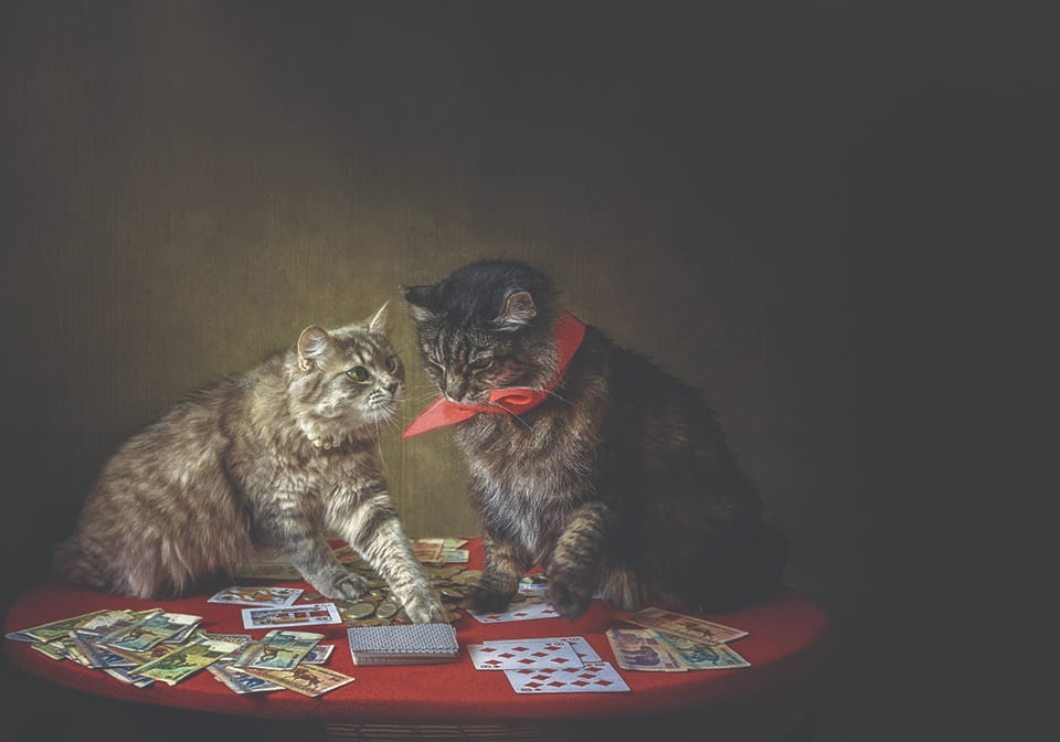 Betting on vetting
