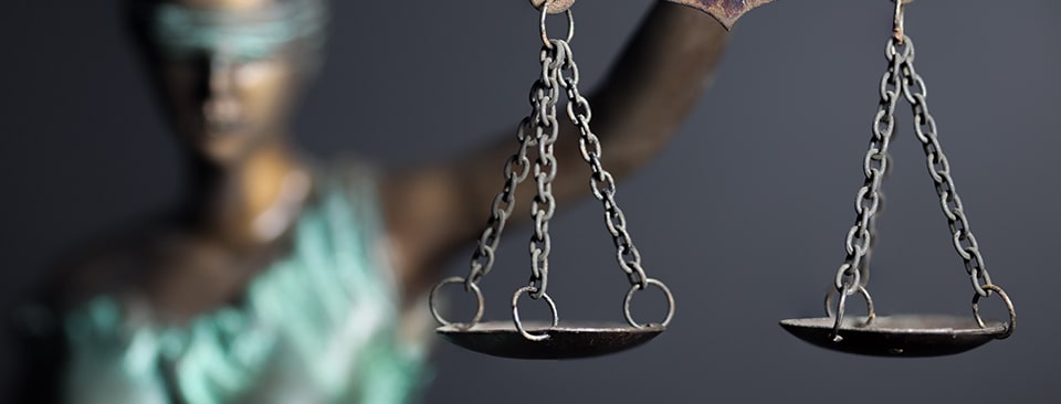 Rule of law becomes top concern for lawyers