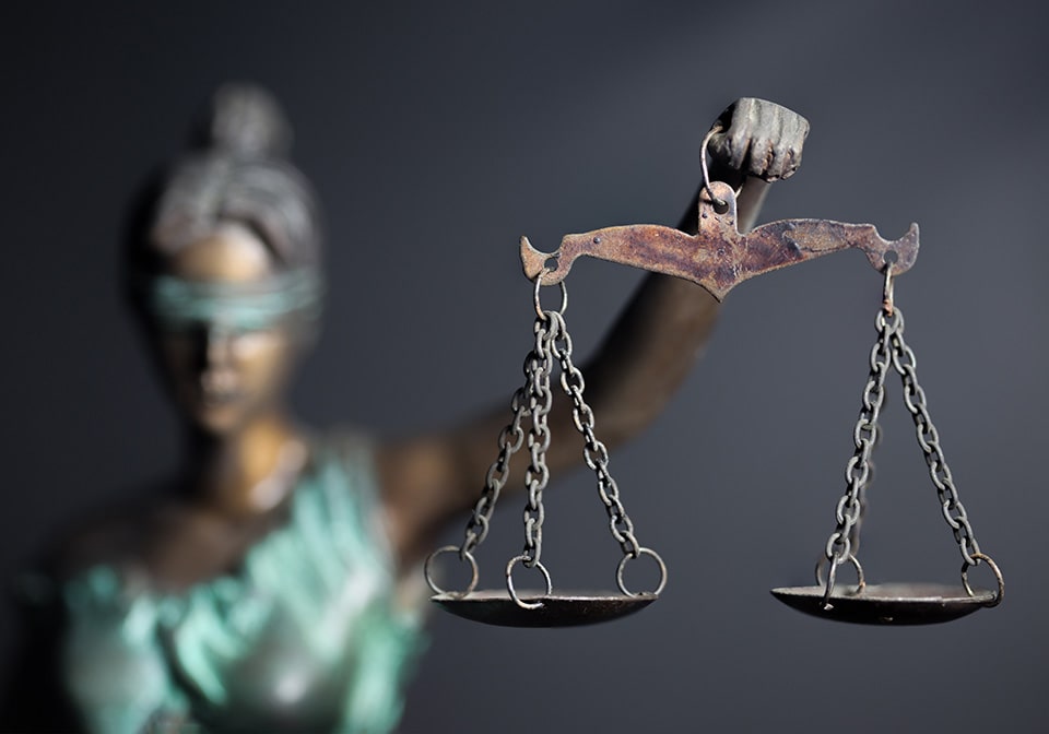 Rule of law becomes top concern for lawyers