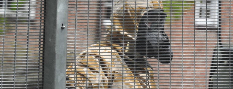 Salisbury poisoning medic tells how hospital dealt with nerve agent