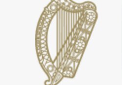 Intellectual Property Office trade mark exams