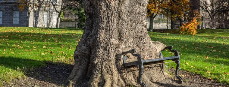 Moot-court contest for law students