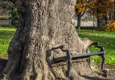 Irish language moot-court contest for law students