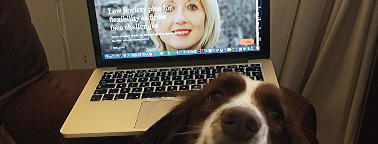 Make it snappy – send us pics of your lockdown workspace