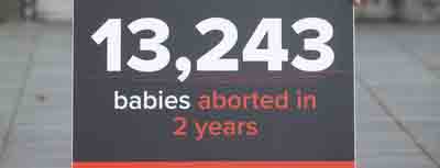 Review of legislation must examine facts, say speakers