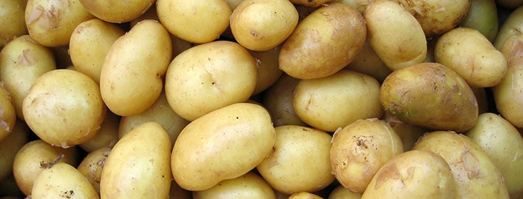 Bread prices up but spuds drop by 20c