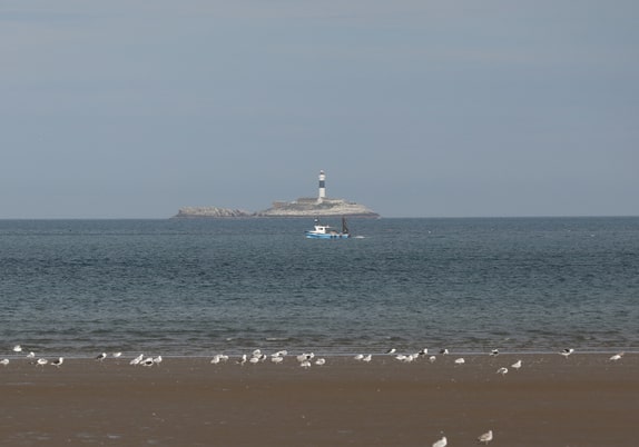 Full-time marine-accidents body set up