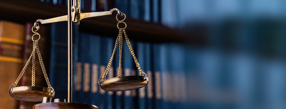 ‘Law and diplomacy’ theme of Lismullin event