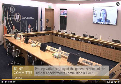 Law Society Director General Mary Keane addresses the Oireachtas justice committee