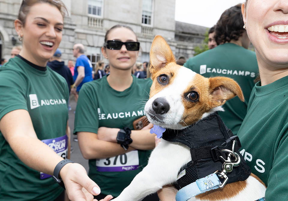 Countdown to Calcutta Run 2026