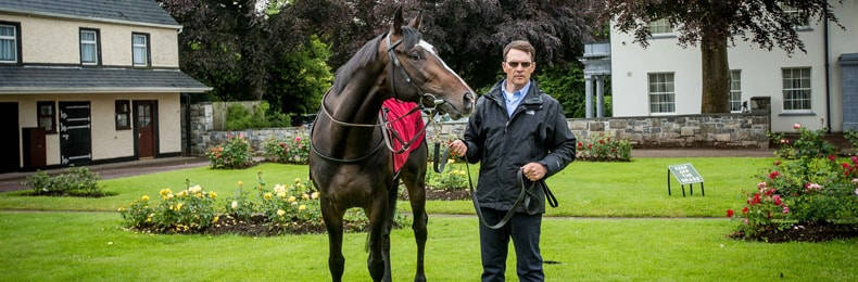 Ballydoyle stands down legal challenge to WRC order