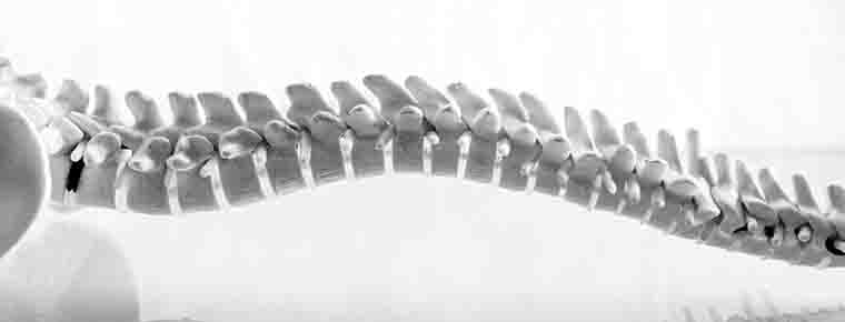 Charity in strategic tie-up with law firms