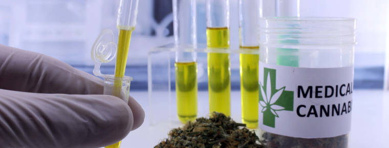 Harris rushes cannabis supply in from Holland