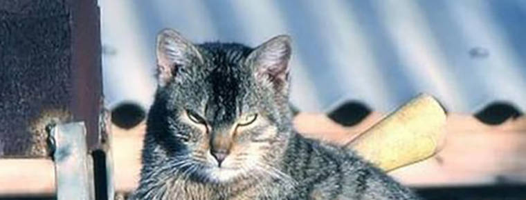 Burning bridges and how to avoid them in professional practice