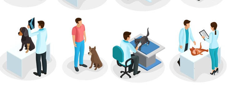 Solicitor appointed to Veterinary Council