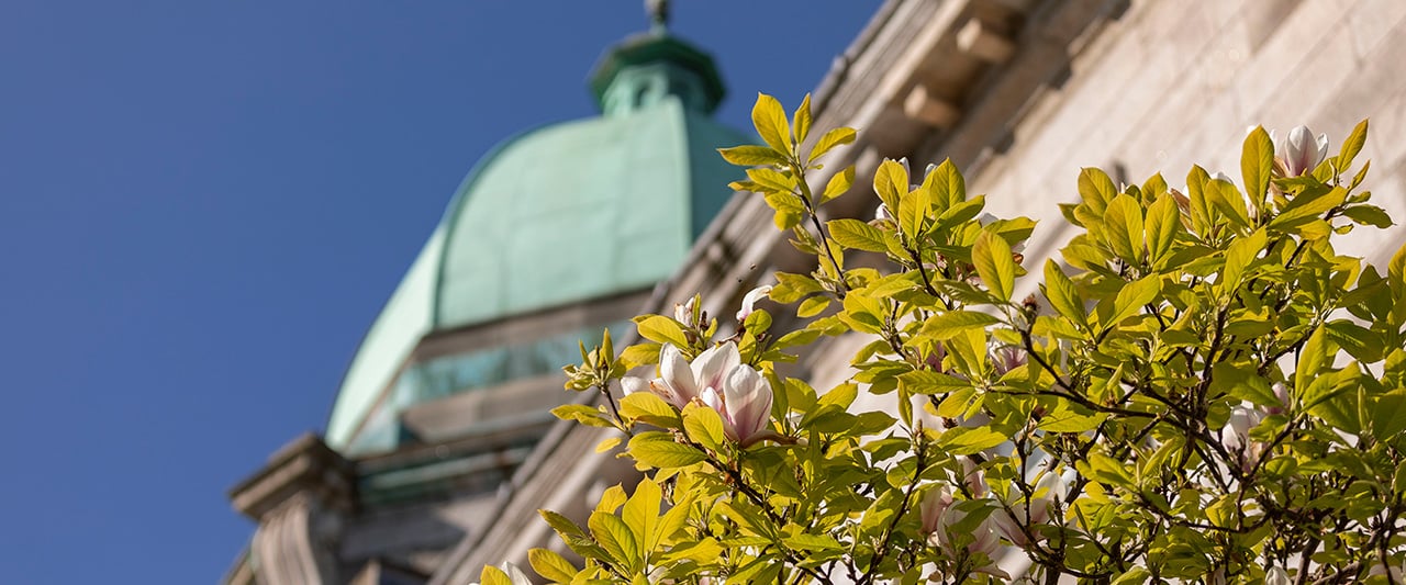 A decorative image of Blackhall place, with the building cupola pictured from below