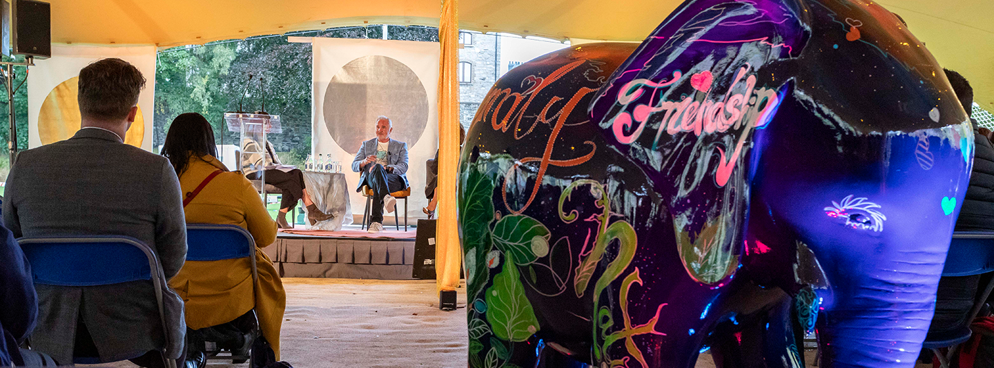 elephant in the room