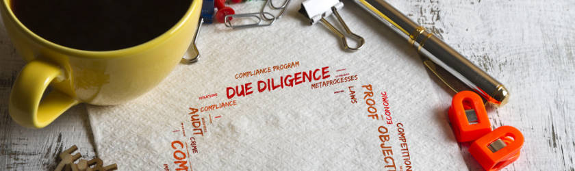 due dilligence and warranties guidance