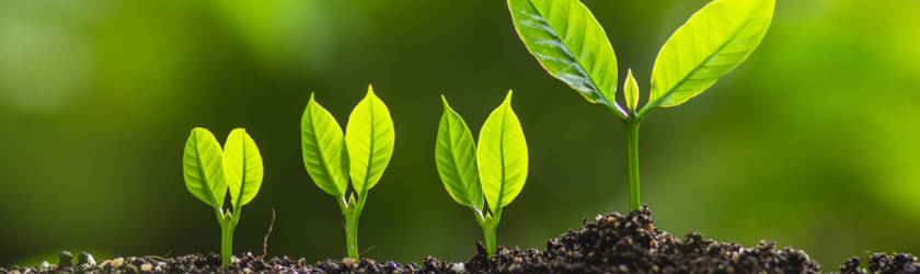 growing business pandemic