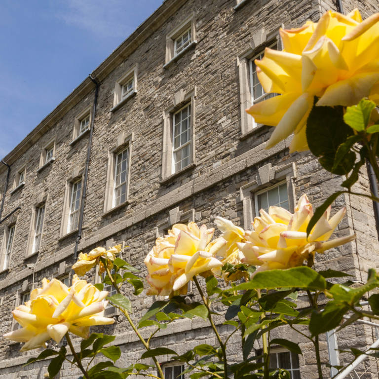 Certificate in Enforcement for Public Bodies