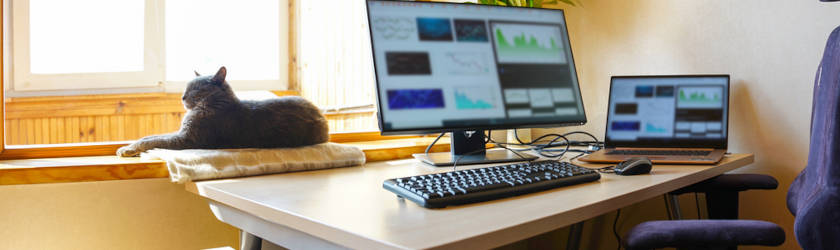 remote working