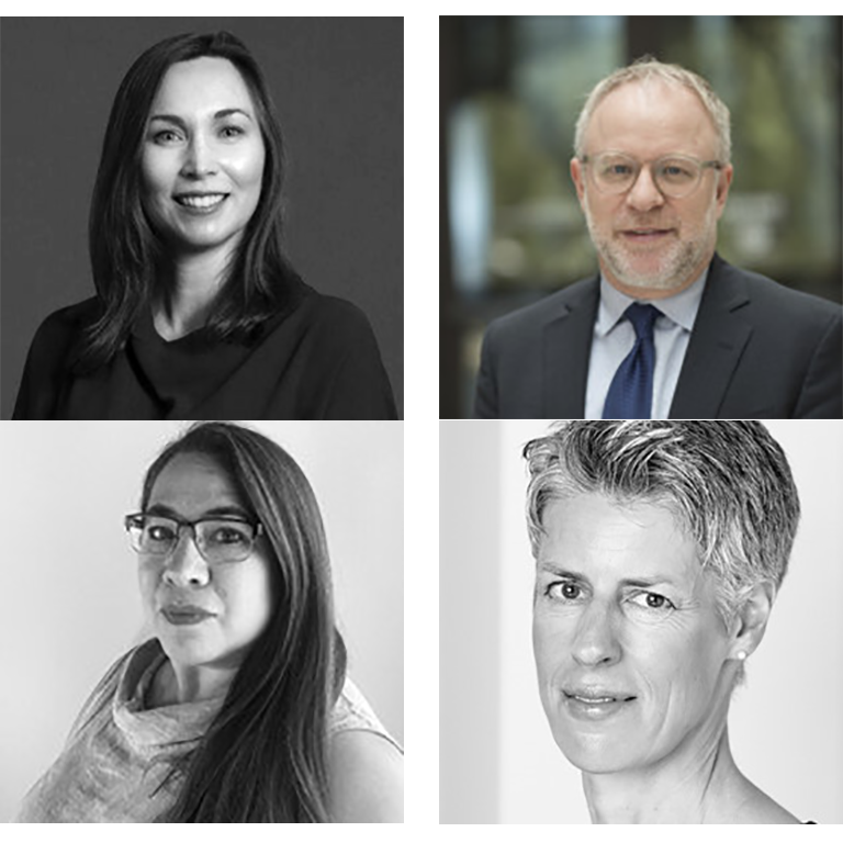 The Power of Pro Bono